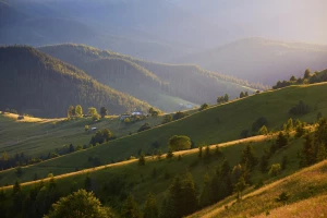 Psychoterapia Bemowo: Odkryj Swoją Ścieżkę do Zdrowia Psychicznego!